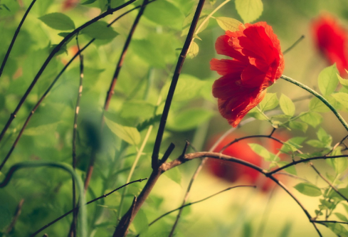 1702711734495042.png image.png