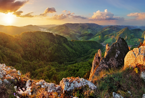 1702711899258560.png image.png