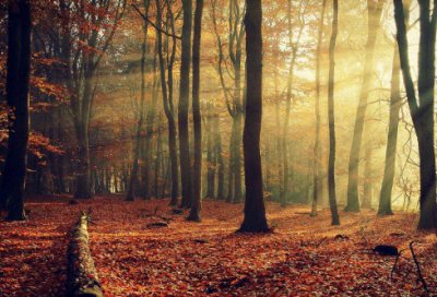 ​梁武帝三生前世的故事