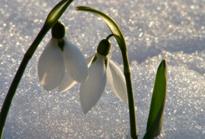 ​经典故事田忌赛马 田忌赛马给人的启示