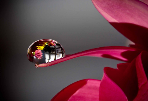 1702718535441776.png image.png