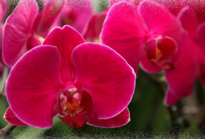 ​李存勖打猎中牟县的故事