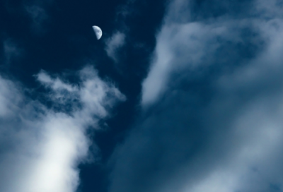 ​李世民小鸟依人的故事