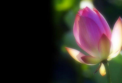 ​普罗米修斯偷取圣火的故事