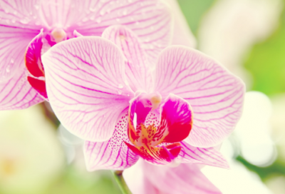 ​历史上的周穆王有些什么故事