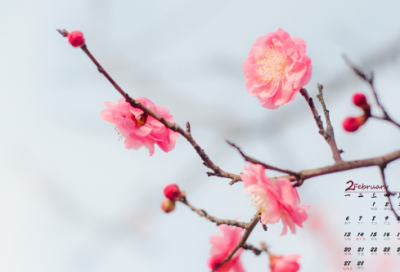 ​洋务运动中的小故事分享 洋务运动的功绩介绍