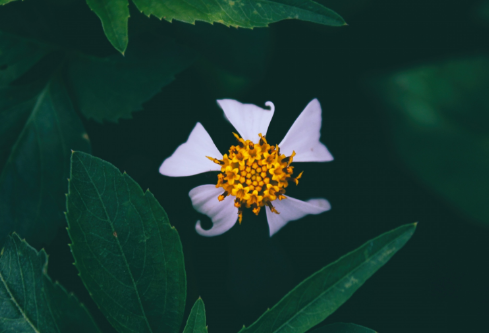 1702722516864343.png image.png