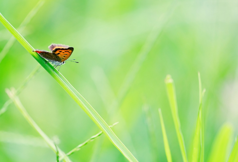 1702722848133125.png image.png