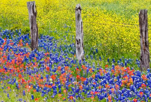 1702723678575889.png image.png