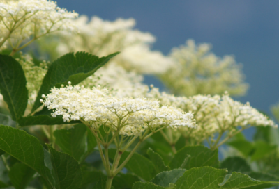 ​鼓励学生努力奋斗的故事