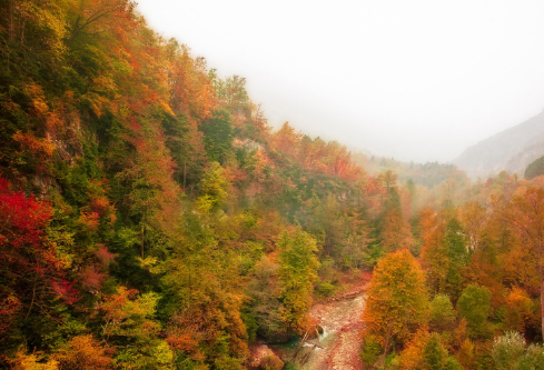 1702724011892909.png image.png