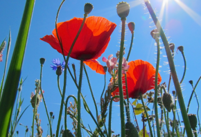 ​张杰励志故事——歌坛王子的崛起