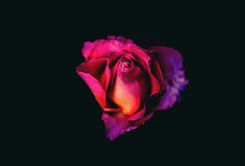 1702724509119555.png image.png