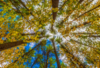 ​爱因斯坦的手工课发生什么故事