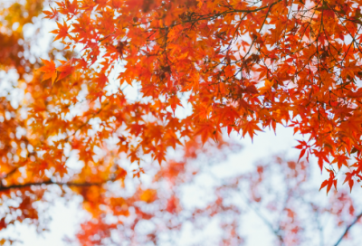 ​吴泽武的创业故事