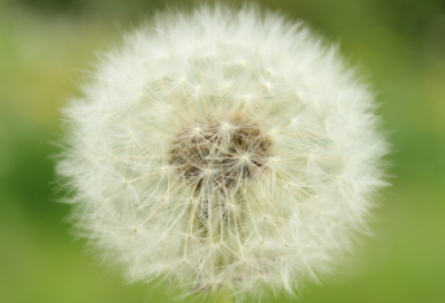 ​陶渊明劝学的故事 陶渊明有哪些品质