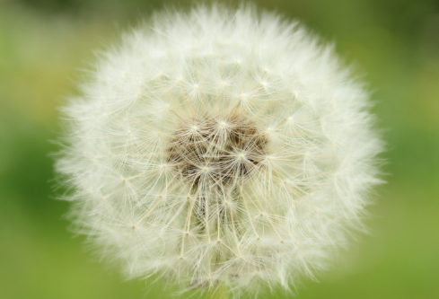 1702725504542582.png image.png