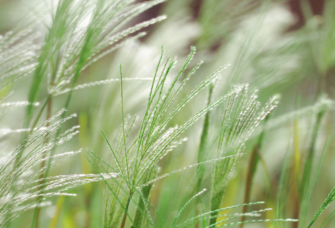 1702726334321684.png image.png