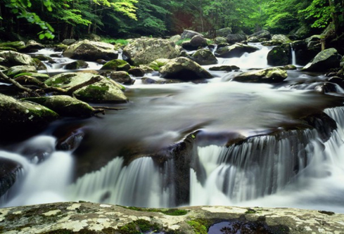 1702727993145412.png image.png