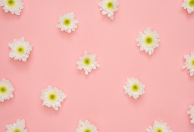 ​元朝名将伯颜简介,伯颜的故事