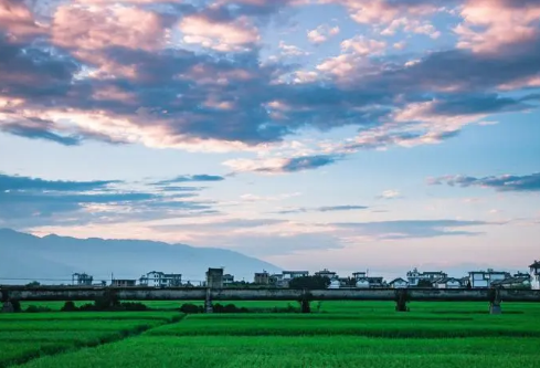 1702728491151594.png image.png