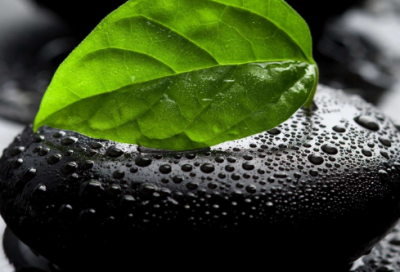 ​在天愿作比翼鸟 唐明皇与杨贵妃的爱情故事