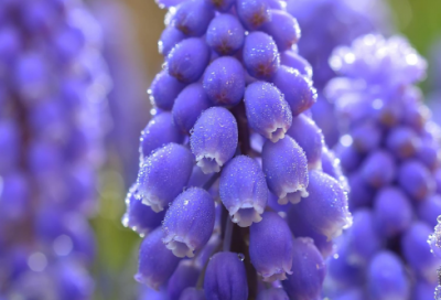 ​关胜评价如何 关胜挑滑车讲的是什么故事