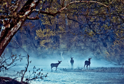 ​解密张龙赵虎与青天之间的故事