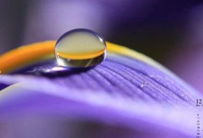 ​王羲之成为东床快婿的故事