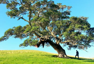 ​周文王与太姒的爱情故事