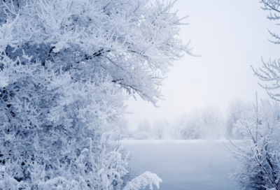 ​张骞出使西域的故事 张骞如何走出一条“丝绸之路”