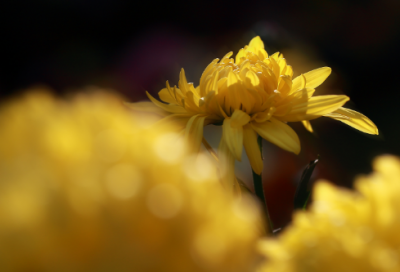 ​简短的创业故事