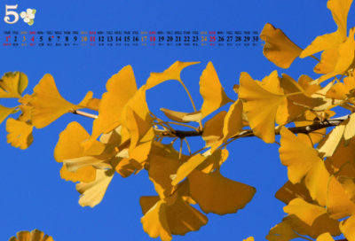 ​经典故事武松打虎 武松打的是什么虎