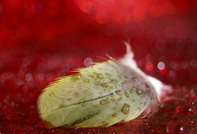 ​以色列国王所罗门的故事介绍