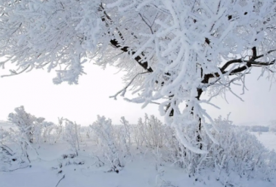 ​李煜与周娥皇的爱情故事结局如何