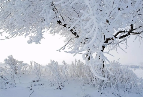 1702745086695032.png image.png