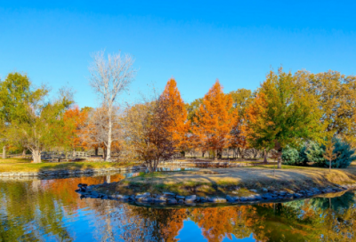 ​楚襄王与巫山神女的故事 楚襄王阳台梦醒