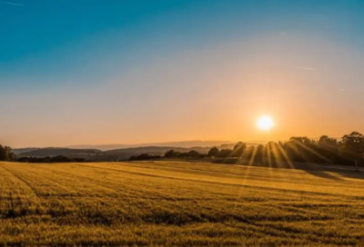 ​达芬奇的发明故事介绍
