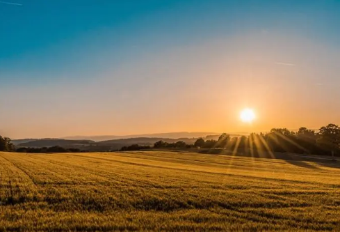 1702746745323622.png image.png