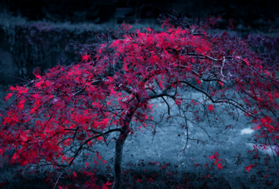 ​公孙胜的故事到底是什么