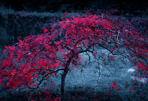 1702747243763657.png image.png