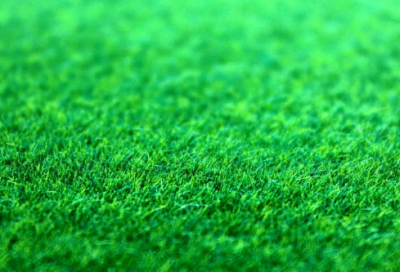 ​武则天和张易之的故事