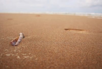 ​嫦娥仙子和后羿的故事