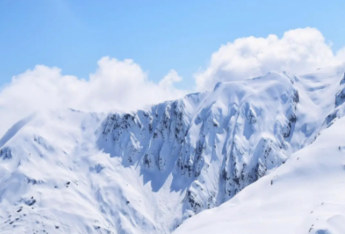 1702751392224946.png image.png