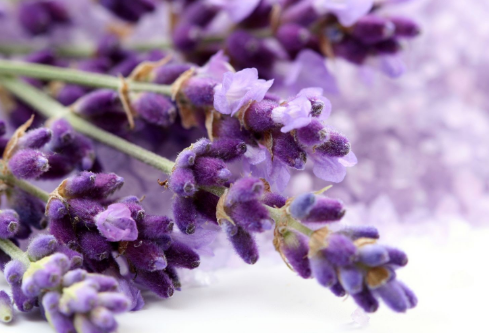 1702751724101517.png image.png