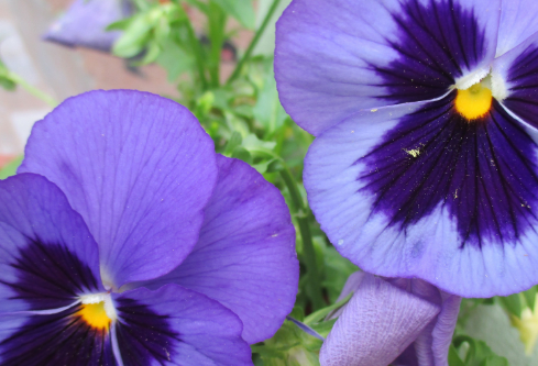 1702752056987005.png image.png