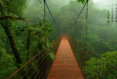 ​封神榜元始天尊破阵的故事