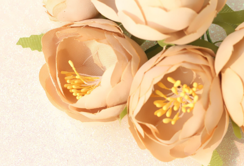 1702753218405490.png image.png