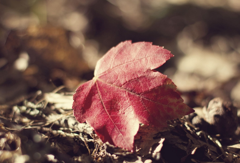 1702753934123521.png image.png