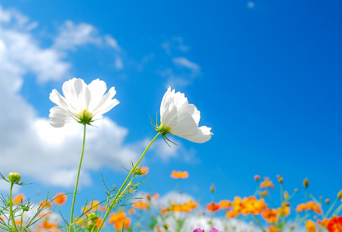 1702754100586374.png image.png